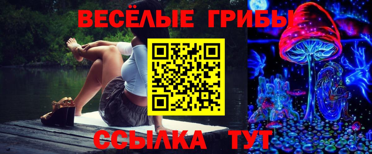 Галлюциногенные грибы прущие грибы Южноуральск